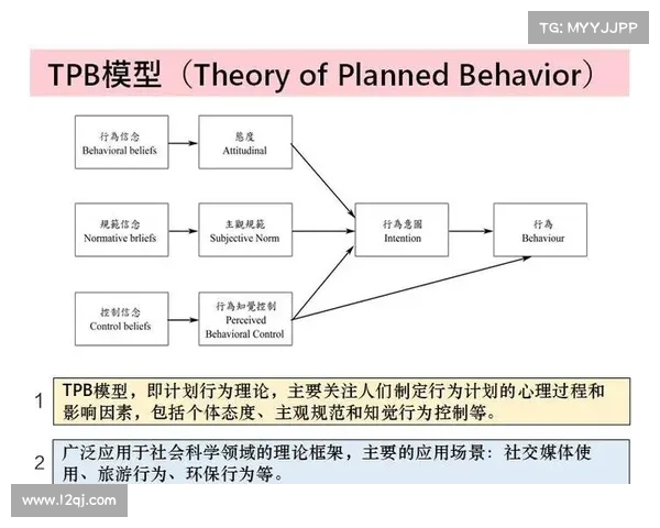 默德萨克:揭示现代社会心理学的深刻洞察与人类行为的复杂关系
